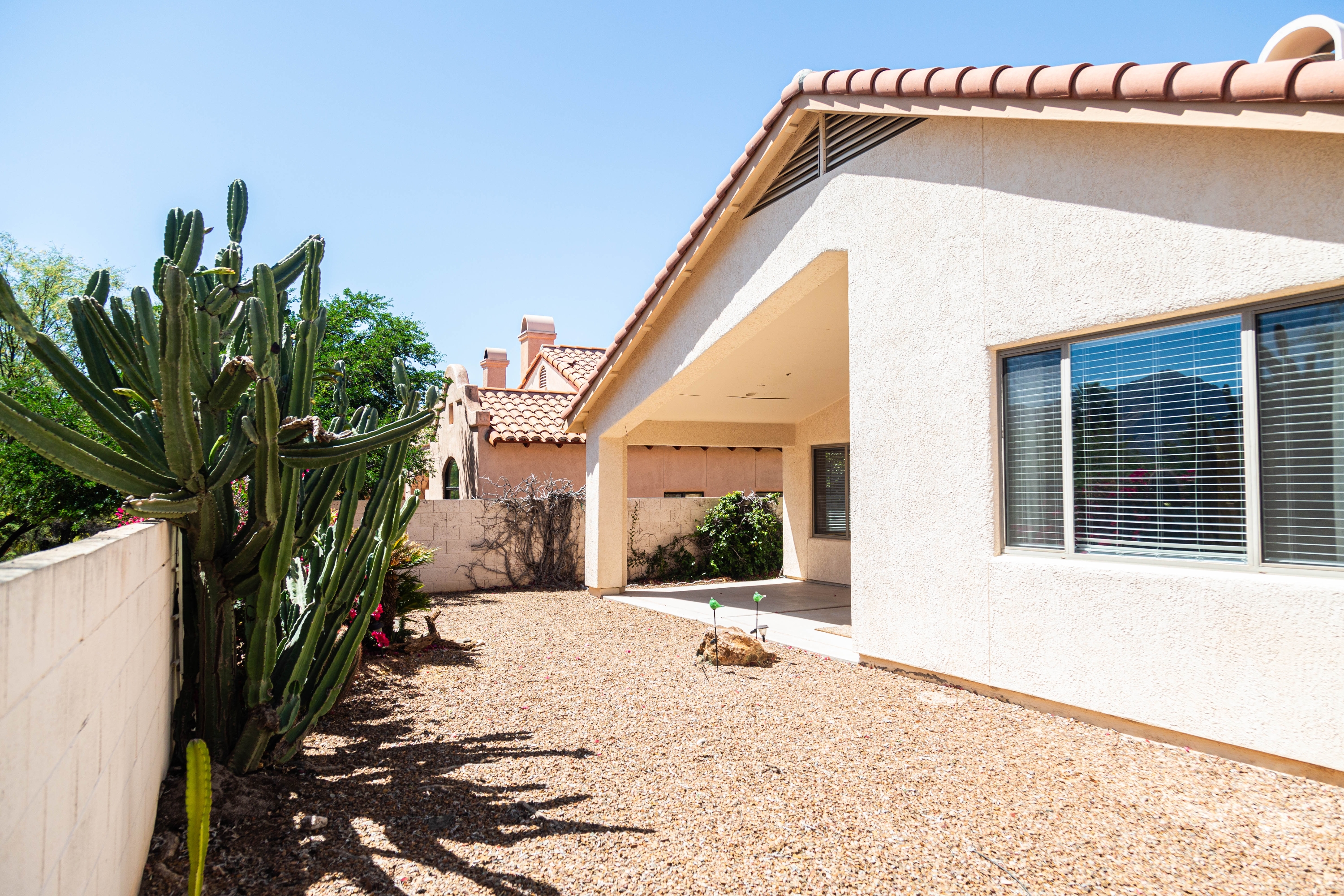 11146 North Desert Flower Drive